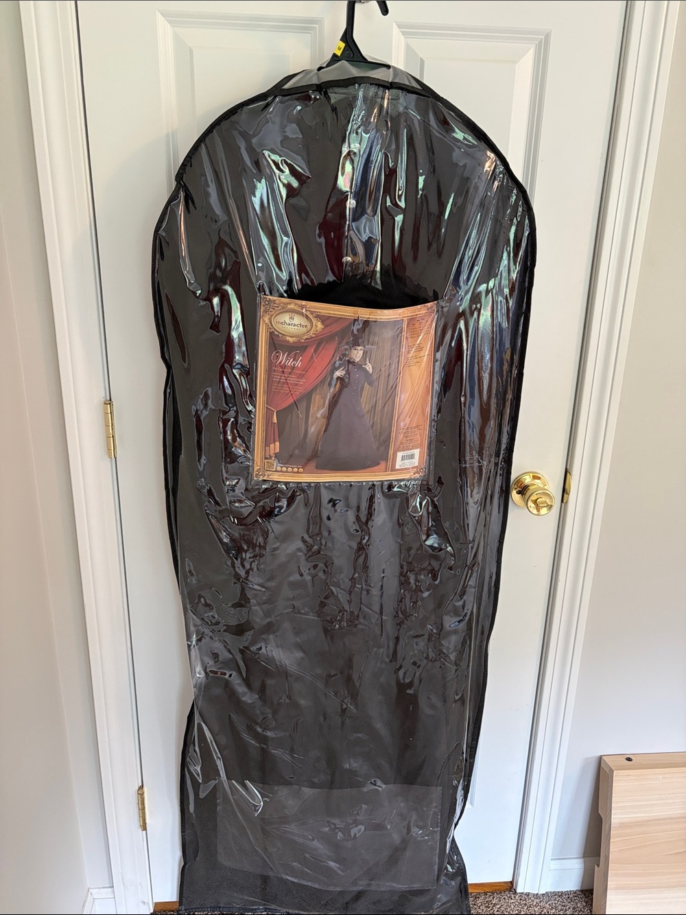 Medium witch costume. In character brand. Wicked witch.